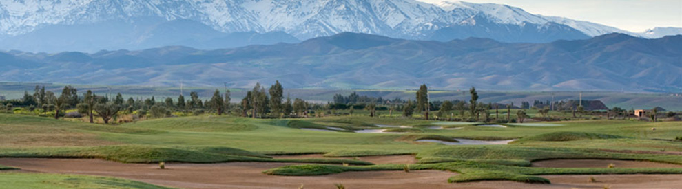 Playing golf