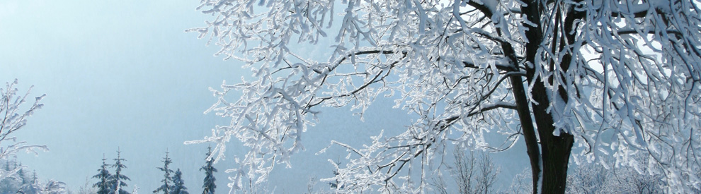 winter1